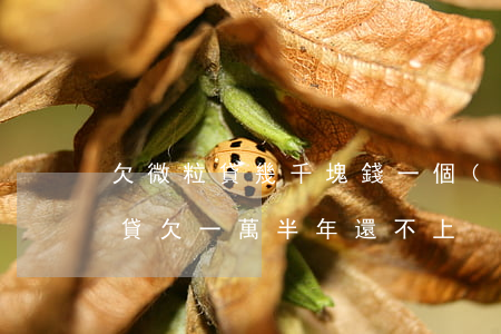 欠微粒貸幾千塊錢一個(gè)月沒還(微粒貸欠一萬半年還不上)