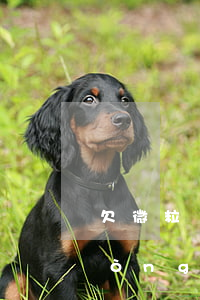 欠微粒貸微信余額會(huì)被自動(dòng)扣除嗎