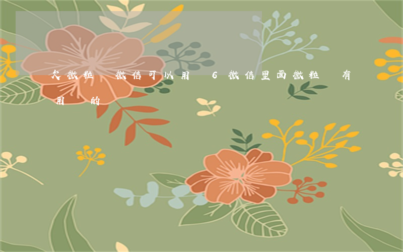 欠微粒貸微信可以用嗎 6(微信里面微粒貸有用過的嗎)