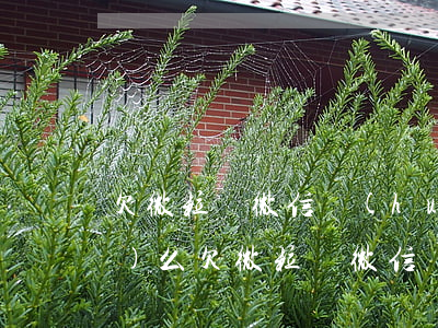 欠微粒貸微信會(huì)被凍結(jié)么(欠微粒貸微信會(huì)被凍結(jié)嗎)