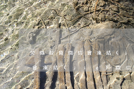 欠微粒貸微信會凍結(jié)嗎(微粒欠款會凍結(jié)微信嗎)