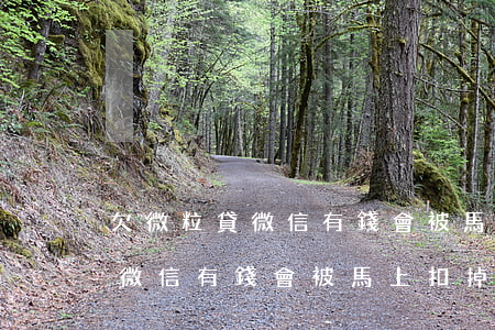 欠微粒貸微信有錢會被馬上扣掉嗎(欠微粒貸微信有錢會被馬上扣掉嗎)