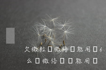欠微粒貸微信還能用嗎6(欠微粒貸還不上怎么辦微信號還能用嗎?)
