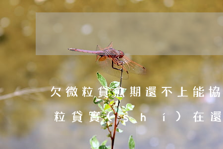 欠微粒貸愈期還不上能協(xié)商嗎(微粒貸實(shí)在還不起了可以協(xié)商嗎)