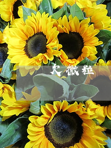 欠微粒貸意外死亡(微粒貸死后要還嗎)