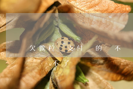 欠微粒貸支付寶的錢不還怎么辦(為什么微粒貸還不了錢)