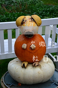 欠微粒貸支付寶還不上怎么辦(支付寶借唄微粒貸還不上怎么辦)