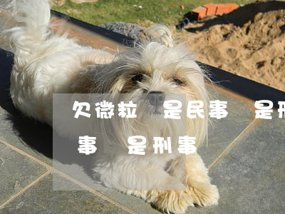 欠微粒貸是民事還是刑事(微粒貸欠款屬于民事還是刑事)