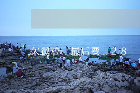 欠微粒貸最后要還28萬(微粒貸欠兩千沒還)