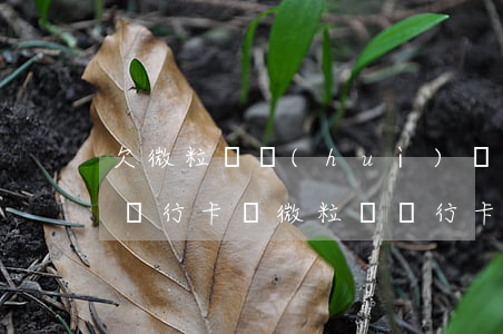欠微粒貸會(huì)凍結(jié)我的銀行卡嗎(微粒貸銀行卡被凍結(jié)怎么還款)