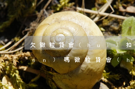 欠微粒貸會(huì)扣銀行卡的錢(qián)嗎(微粒貸會(huì)扣其他銀行卡里錢(qián)嗎?)
