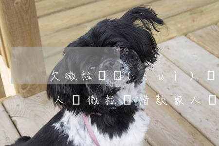欠微粒貸會(huì)聯(lián)系家人嗎(微粒貸借款家人會(huì)知道嗎)