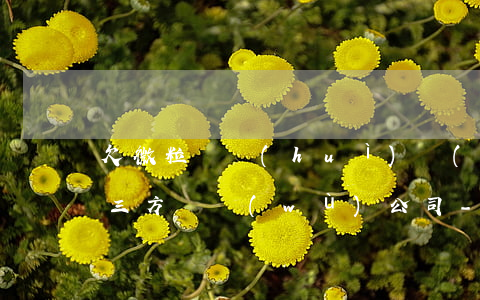 欠微粒貸會(huì)聯(lián)系第三方債務(wù)公司-欠微粒貸會(huì)聯(lián)系第三方債務(wù)公司嗎