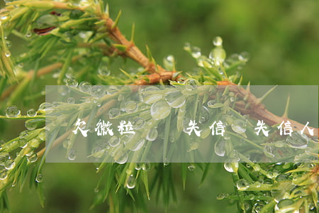 欠微粒貸會失信嗎(失信人微粒貸能貸款嗎)