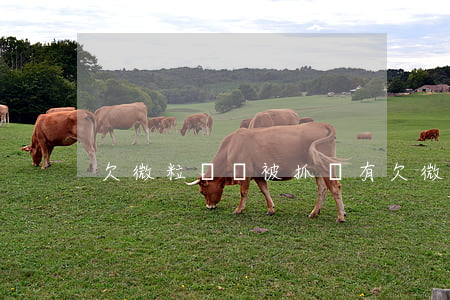 欠微粒貸會被抓嗎(有欠微粒貸被判刑的嗎)