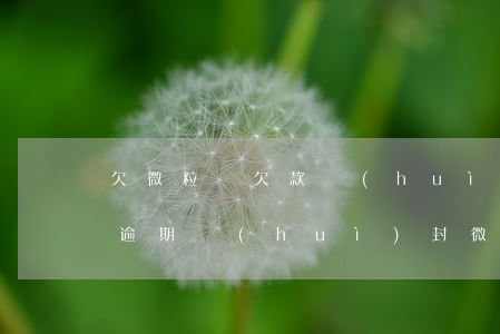欠微粒貸欠款會(huì)封微信嗎(微粒貸逾期會(huì)封微信嗎)