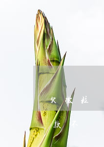 欠微粒貸永遠(yuǎn)不還了(微粒貸借款不還會(huì)怎樣)