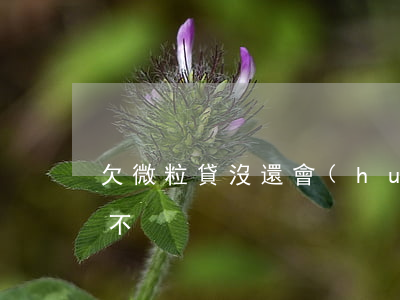 欠微粒貸沒還會(huì)封號(hào)不