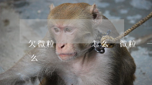 欠微粒貸沒還會怎么樣(微粒貸一直沒還會怎么樣)
