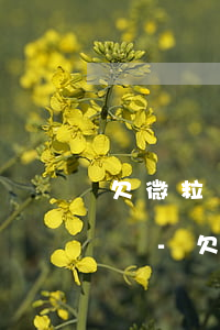 欠微粒貸無力償還怎么辦會(huì)起訴嗎-欠微粒貸無力償還怎么辦會(huì)起訴嗎知乎
