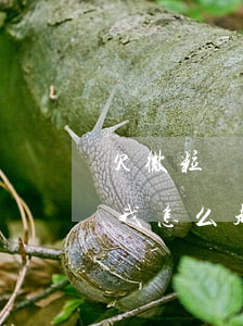 欠微粒貸發(fā)消息被起訴(起訴微粒貸我怎么起訴)