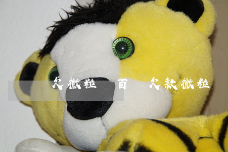 欠微粒貸百萬(欠款微粒貸)