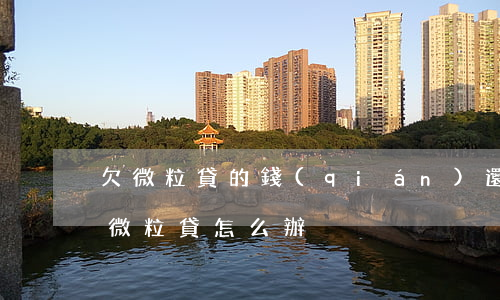 欠微粒貸的錢(qián)還不上了(還不起微粒貸怎么辦)