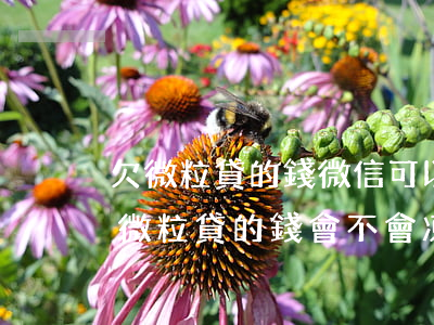 欠微粒貸的錢微信可以凍結(jié)嘛(欠微粒貸的錢會不會凍結(jié)微信)