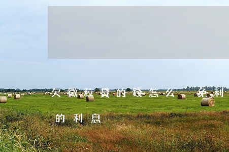 欠微粒貸的錢怎么減免利息(怎么降低微粒貸的利息)