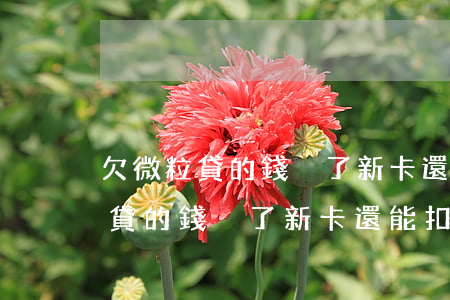 欠微粒貸的錢換了新卡還能扣錢嗎-欠微粒貸的錢換了新卡還能扣錢嗎怎么辦
