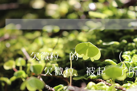 欠微粒貸的錢會凍結(jié)銀行卡的錢嗎(欠微粒貸被起訴了所有銀行卡會被凍結(jié)嗎)