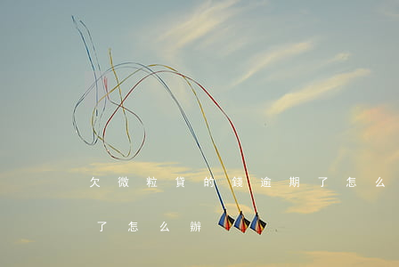 欠微粒貸的錢逾期了怎么辦(欠了微粒貸逾期了怎么辦)