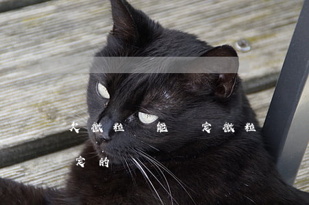 欠微粒貸能綁定微粒貸嗎(微粒貸是和微信綁定的嗎)