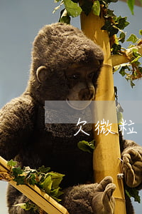 欠微粒貸能買房