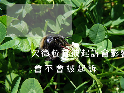 欠微粒貸被起訴會影響辦簽證嗎(微粒貸欠款會不會被起訴)