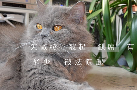 欠微粒貸被起訴缺席會有什么后果(微粒貸欠多少會被法院起訴)