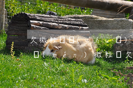 欠微粒貸說(shuō)報(bào)警上門(mén)(微粒貸欠2萬(wàn)多會(huì)上門(mén)要??)