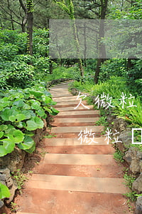欠微粒貸說(shuō)要起訴是真的嗎(欠微粒貸說(shuō)要起訴是真的嗎)