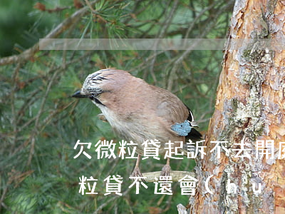 欠微粒貸起訴不去開庭會(huì)怎樣(微粒貸不還會(huì)起訴我嗎)