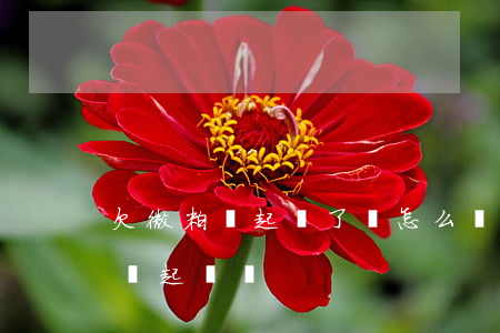 欠微粒貸起訴了會怎么樣(微粒貸欠了兩千多會起訴嗎)