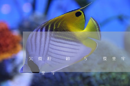 欠微粒貸超過5萬要坐牢嗎(微粒貸欠款6萬會坐牢嗎)