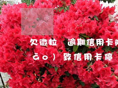 欠微粒貸逾期信用卡降額(微粒貸欠款導(dǎo)致信用卡停)