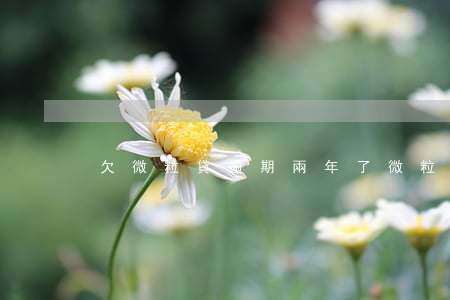欠微粒貸逾期兩年了(微粒貸逾期快兩年了)