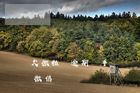 欠微粒貸逾期換手機號碼(微粒貸逾期后換個微信號)