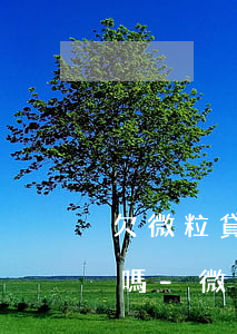 欠微粒貸逾期會(huì)被暫停微信功能嗎-微粒貸逾期會(huì)停用微信嗎