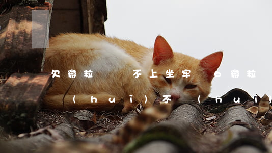 欠微粒貸還不上坐牢嗎6(微粒貸欠了六萬多會(huì)不會(huì)坐牢)