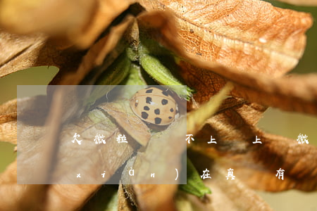 欠微粒貸還不上會上門(微粒貸要上門我現(xiàn)在真沒有錢還)