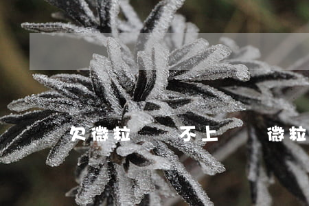 欠微粒貸還不上視頻(微粒貸還不上怎么辦)