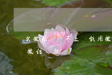 欠微粒貸還不上還能用微信嗎(微粒貸不能用微信還款)