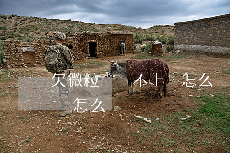 欠微粒貸還不上錢怎么辦(微信微粒貸還不上錢怎么辦)